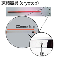 培養室から凍結器具（cryotop）