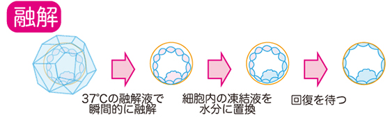 培養室から融解