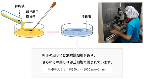 培養室から写真