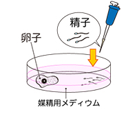 培養室から写真