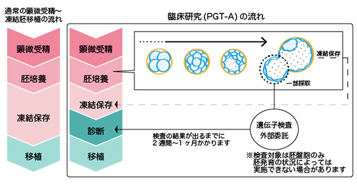 PGT-A(着床前胚染色体異数性検査)写真