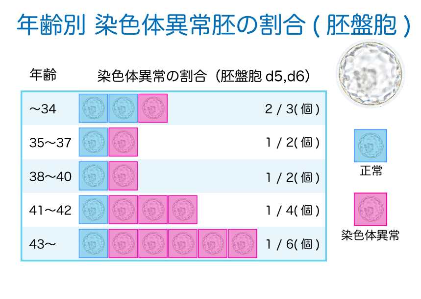 染色体異常胚の割合